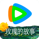 sm免费专区
